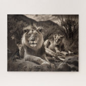 Lion's Rest - Puzzle noir et blanc (Horizontal)