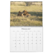 LIONS - TOUS LES LIONS CALENDRIER (Feb 2027)