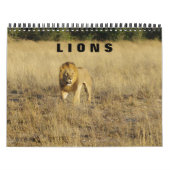 LIONS - TOUS LES LIONS CALENDRIER (Protection)
