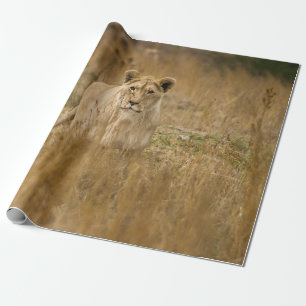 LIONTHEID IN DE GRAS CADEAUPAPIER