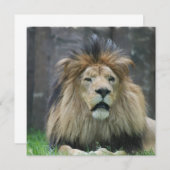 Lionuitvindingen Kaart (Voorkant / Achterkant)