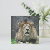 Lionuitvindingen Kaart (Staand voorkant)