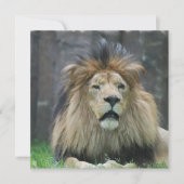 Lionuitvindingen Kaart (Voorkant)