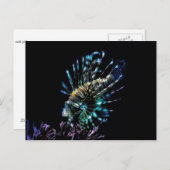 Lionviszwemmen Briefkaart (Voorkant / Achterkant)