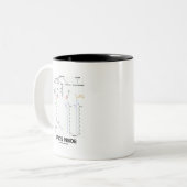 Lipiden binnen (chemische moleculen) tweekleurige koffiemok (Voorkant links)