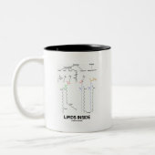 Lipiden binnen (chemische moleculen) tweekleurige koffiemok (Links)
