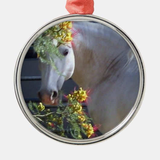 Lipizzan Stallion Ornament (Voorkant)
