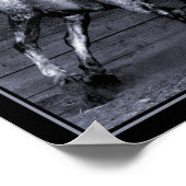 Lippizan Poster (Hoek)