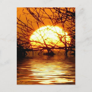 Liquid Sunset Vertical Briefkaart