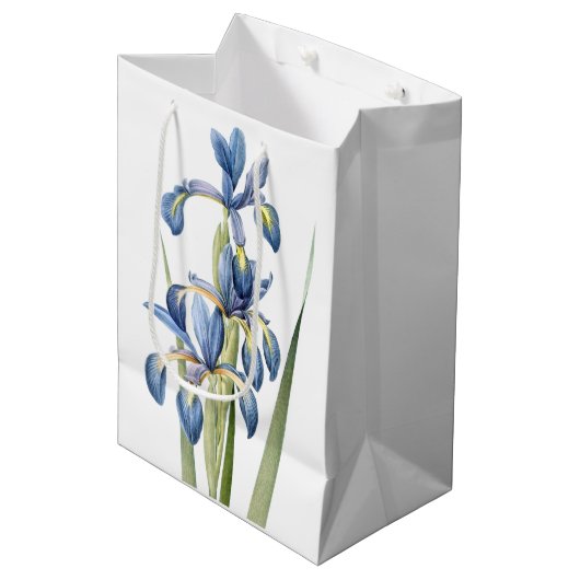 L'iris bleu botanique fleurit le sac floral de (Devant Angle)