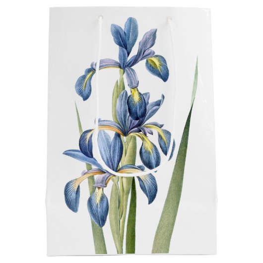 L'iris bleu botanique fleurit le sac floral de (Dos)