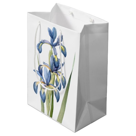 L'iris bleu botanique fleurit le sac floral de (Dos Angle)