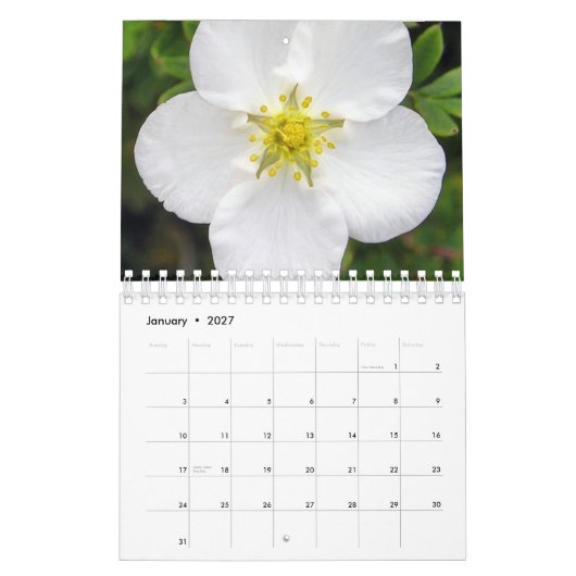 L'Irlande dans le calendrier de fleur (Jan 2027)