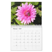 L'Irlande dans le calendrier de fleur (Feb 2027)