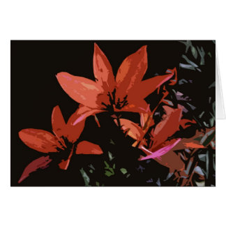Lis asiatique orange