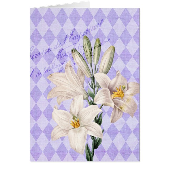 Lis botaniques français vintages (Devant)