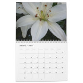 Lis - calendrier 2017 (Jan 2027)