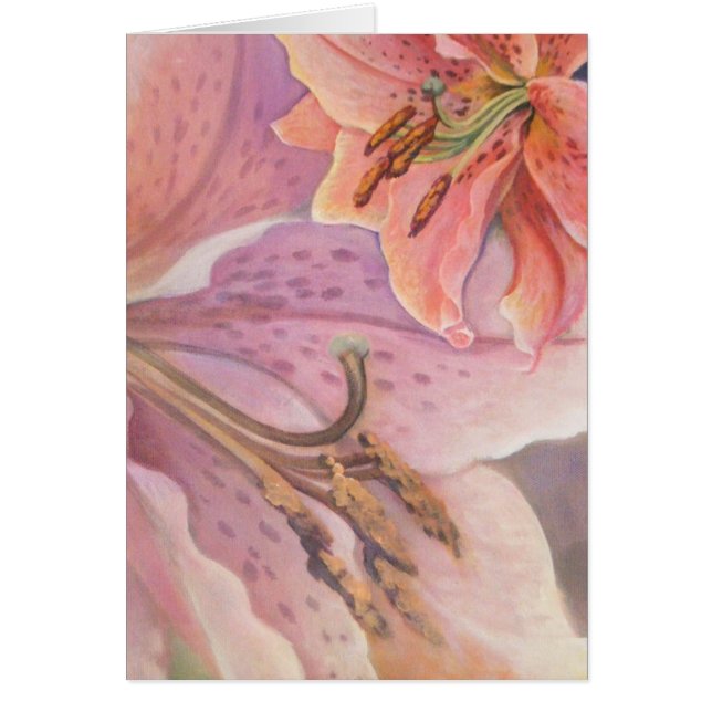 Lis de curieux d'étoile (Devant)