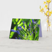 Lis de nuage de tempête de la carte du Nil (Fleur jaune)