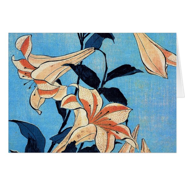 Lis de trompette (Devant horizontal)