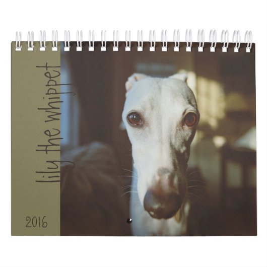 Lis le calendrier 2016 de whippet (Protection)