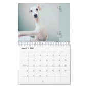 Lis le calendrier 2016 de whippet (Mar 2027)