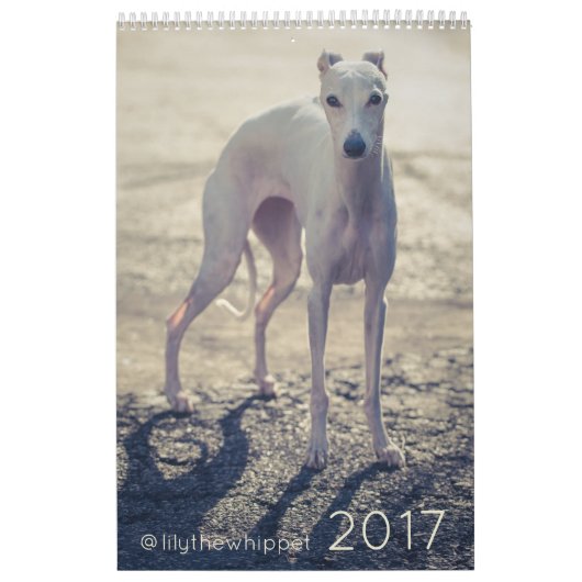 Lis le calendrier du whippet 2017 (Protection)