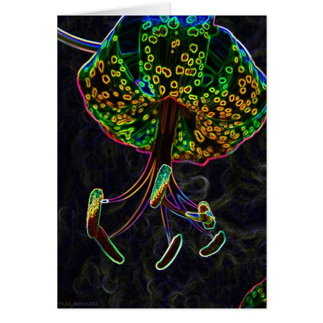 Lis tigré Photoshop (Devant)