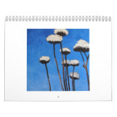 Lisa Feather Paintings Kalender (Hoes)