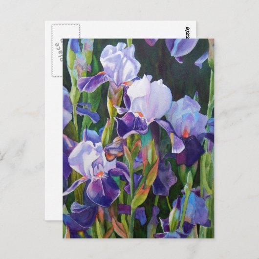 Lisa's Iris Garden Briefkaart (Voorkant / Achterkant)