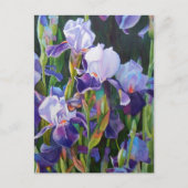 Lisa's Iris Garden Briefkaart (Voorkant)
