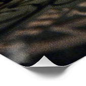 Lisez Mon Esprit, Poster De Chat (Coin)