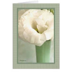 Lisianthus in groen