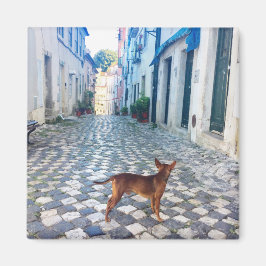 Lissabon Puppy's Street Uitzicht Portugal Foto Magneet
