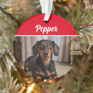Lisser Dachshund avec nom et photo Noël