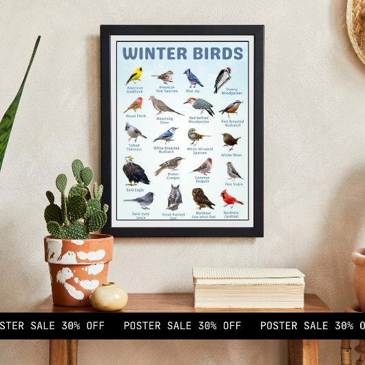 list of USA Winter birds  Poster