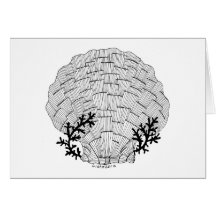 Listakora Seashell-kaart met envelop