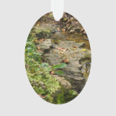 Lit de roche North Wears Creek (devant)