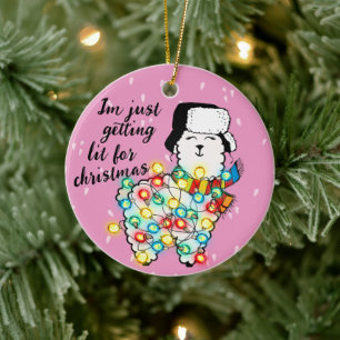 Lit Llama Ornament - Feestelijk & !