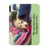 "Lit principal pris / Lit de chien gratuit" Magnet (Vertical)