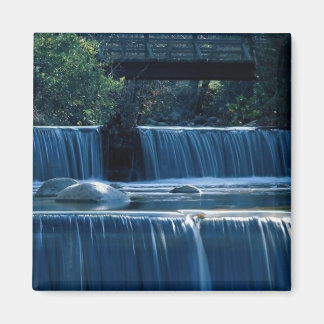 Lithia Park Island Magneet