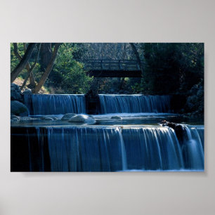 Lithia Park Island Poster