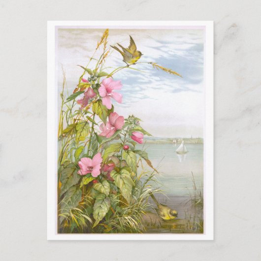Lithograph Marsh Mallow met Vogel Briefkaart (Voorkant)