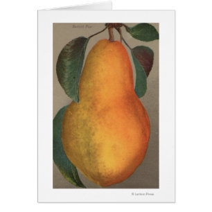 Lithographie de Chromo de fruit de poire bartlett