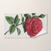 Lithographie de rose antique, François-Frédéric Gr (Serviette à main)
