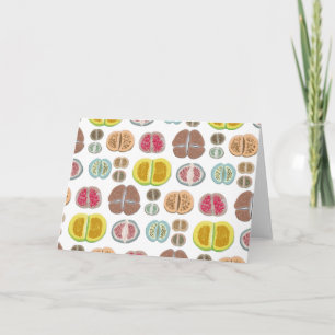 Lithops - transparant kaart