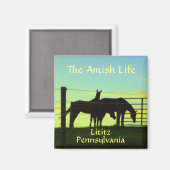Lititz. Amish Horses op Sunset. Magneet (Voorkant / Achterkant)