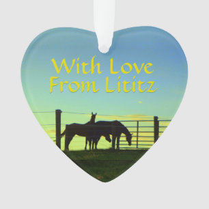 Lititz Ornament! Boerderij leven! Bezoek Lititz! Ornament