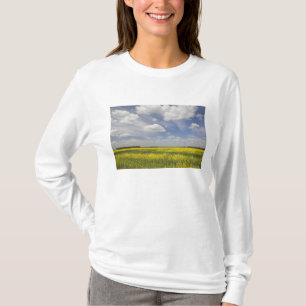 Litouwen, Centraal-Litouwen, Joniskis, veld van T-shirt