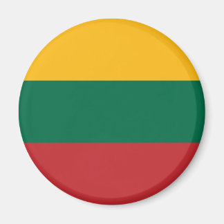 Litouwen Flag Magnet Magneet